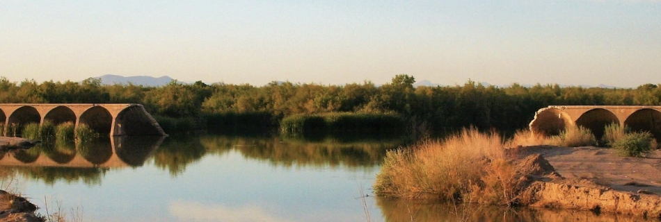 Water flowing through the Lower Gila River with scattered trees and bare earth.